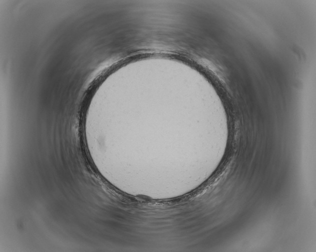 X0000111641307200908281148