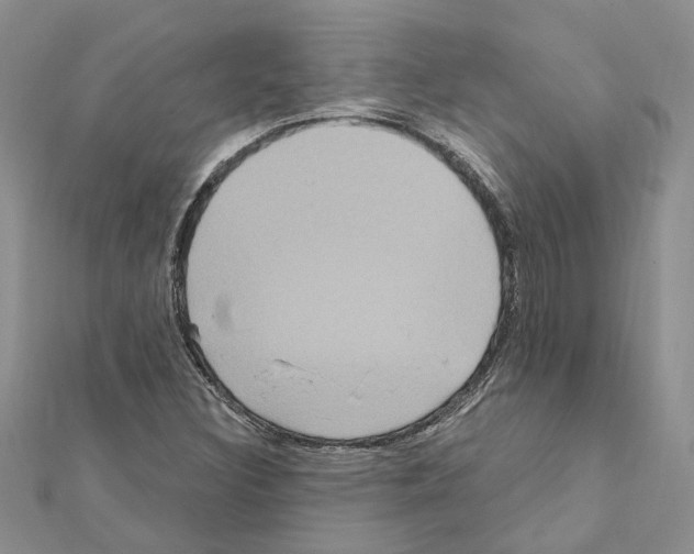 X0000111641308200908281148