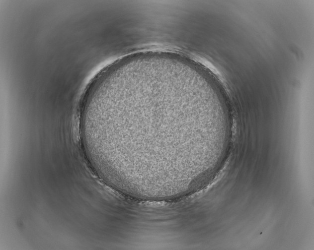 X0000111641310200908281148