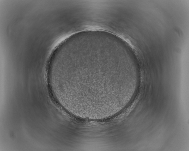 X0000111641311200908281148