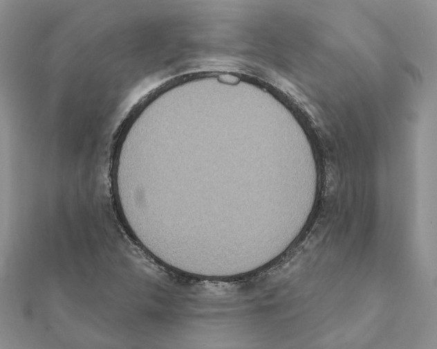 X0000111641312200908281148