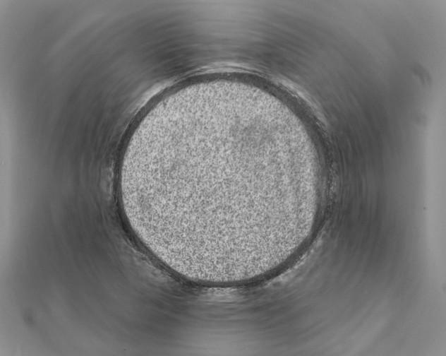 X0000111641313200908281148