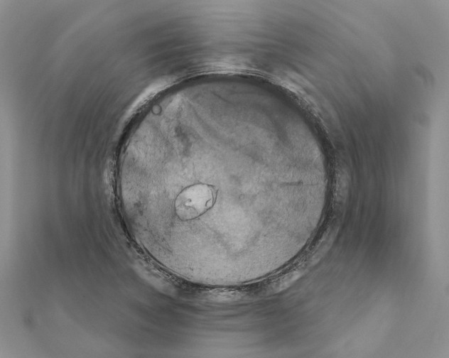 X0000111641314200908281148