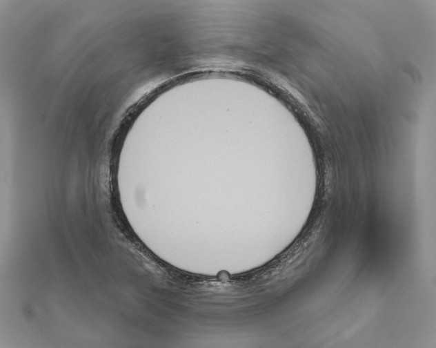 X0000111641315200908281148