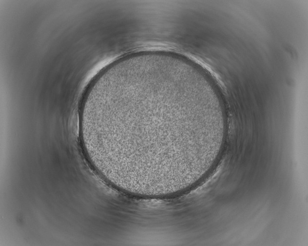 X0000111641317200908281148