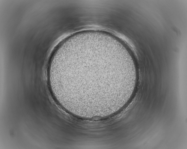X0000111641318200908281148
