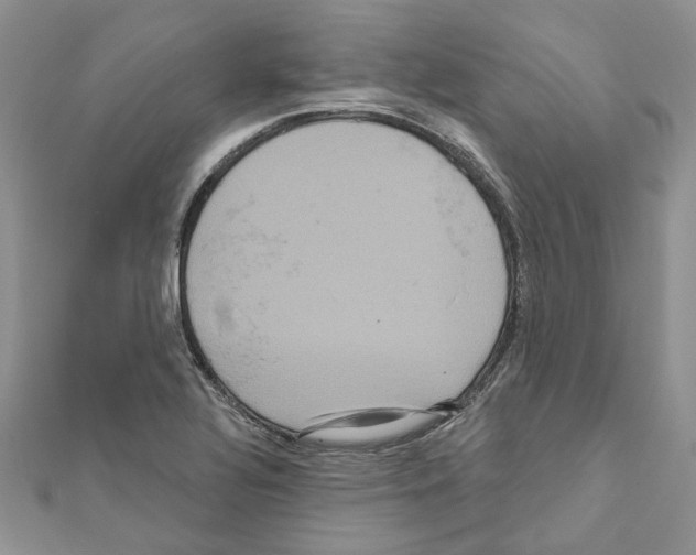 X0000111641320200908281148