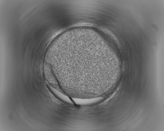 X0000111641321200908281148