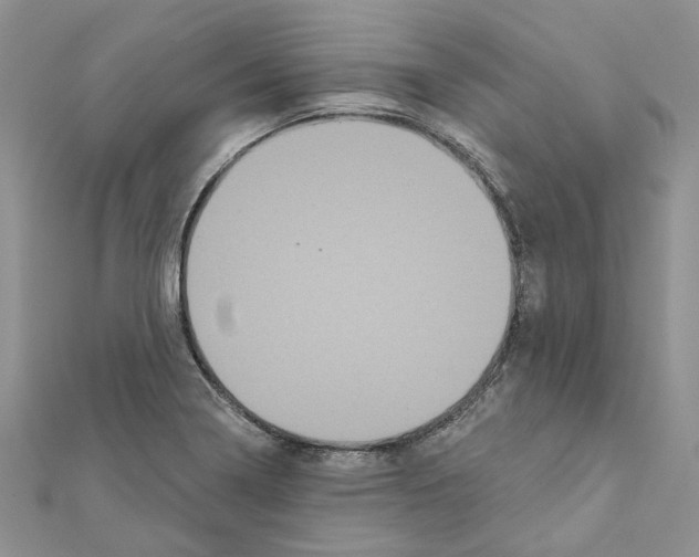 X0000111641322200908281148