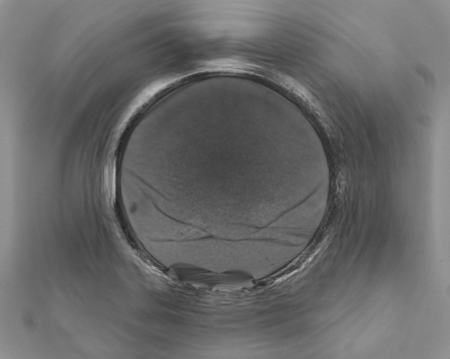 X0000111641323200908281148