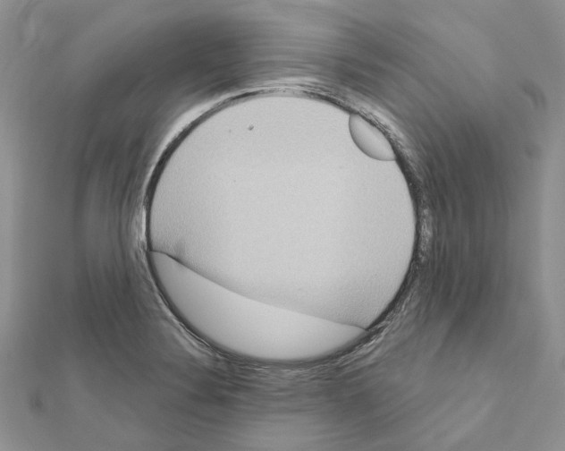 X0000111641324200908281148
