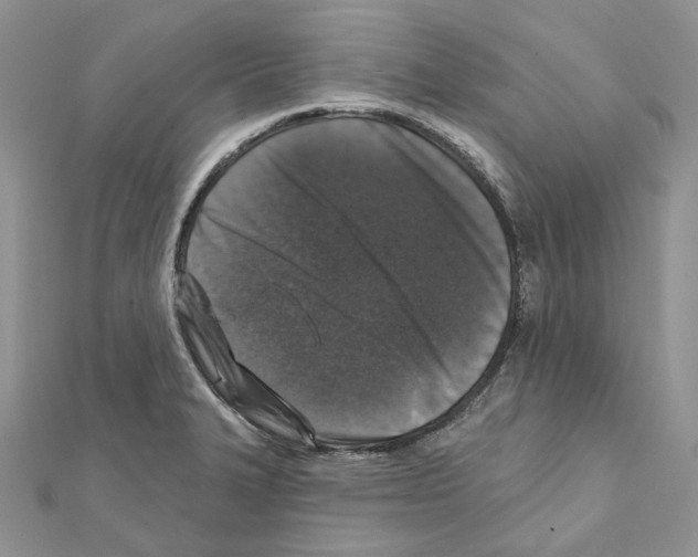 X0000111641327200908281148