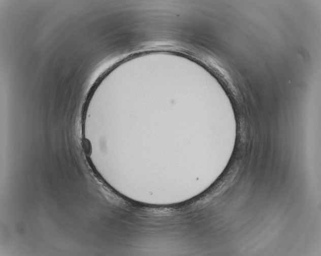 X0000111641328200908281148