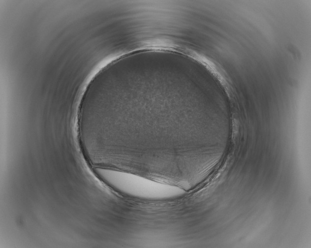 X0000111641331200908281148