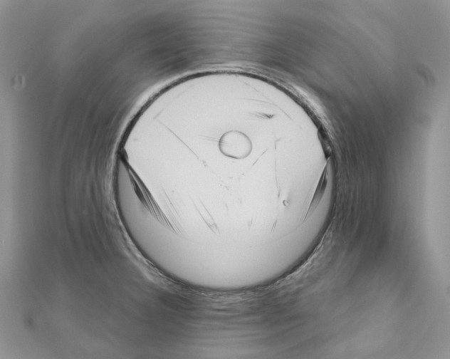 X0000111641332200908281148