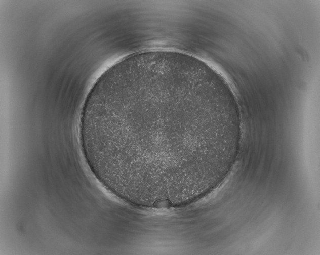 X0000111641333200908281148