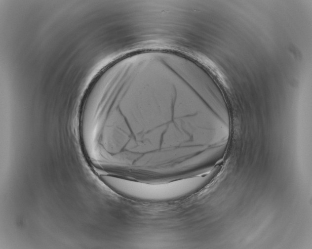 X0000111641334200908281148