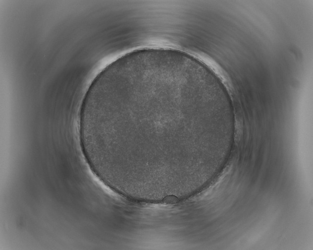 X0000111641335200908281148
