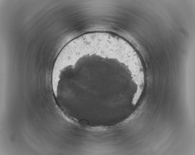 X0000111641337200908281148