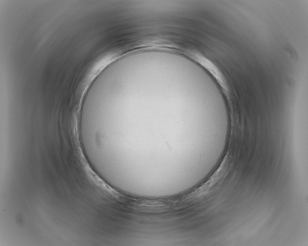 X0000111641338200908281148