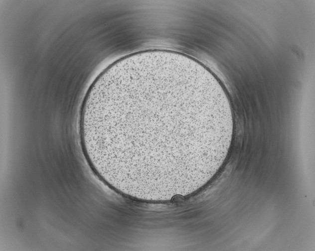 X0000111641339200908281148