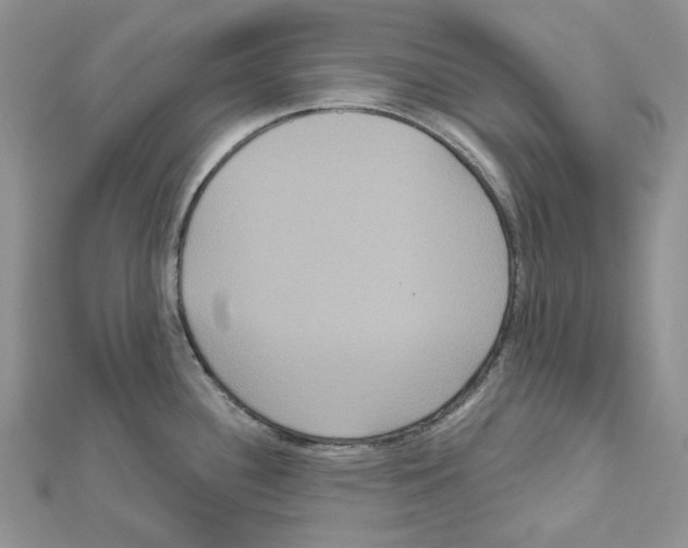 X0000111641340200908281148