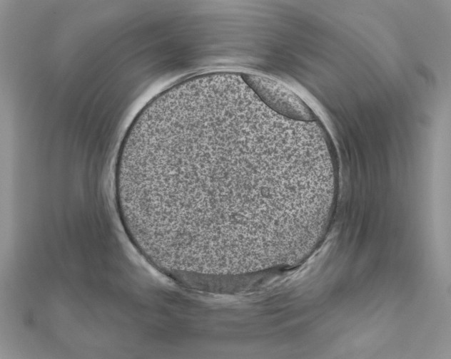 X0000111641341200908281148