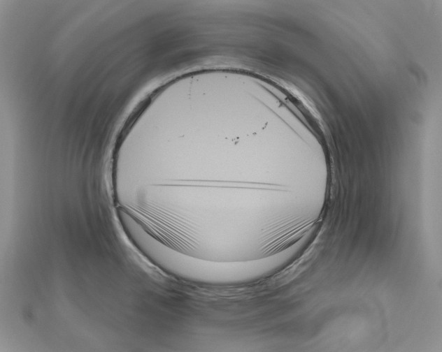 X0000111641342200908281148