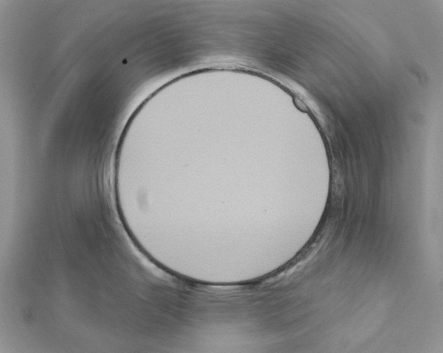 X0000111641343200908281148