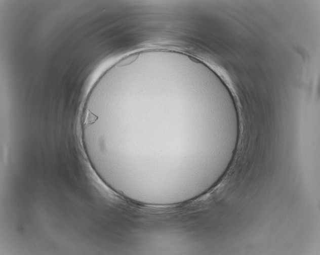 X0000111641344200908281149
