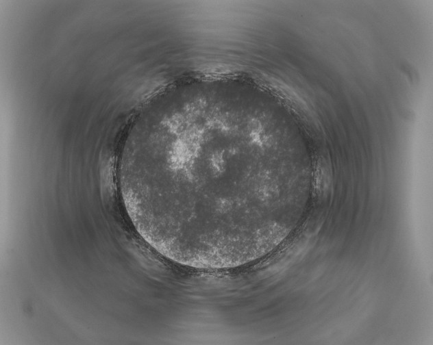 X0000111641346200908281148