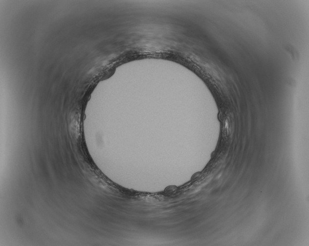 X0000111641348200908281148