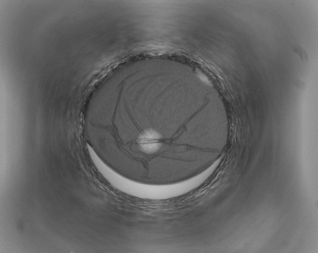 X0000111641349200908281148