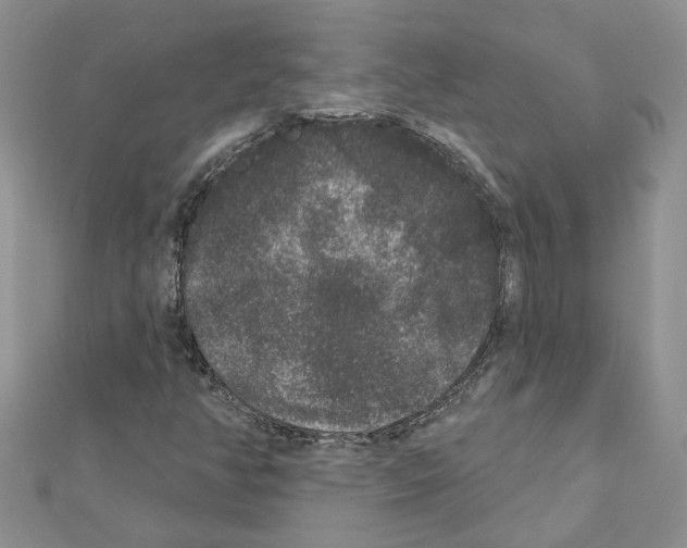 X0000111641350200908281148