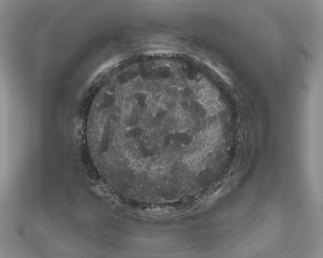 X0000111641351200908281148