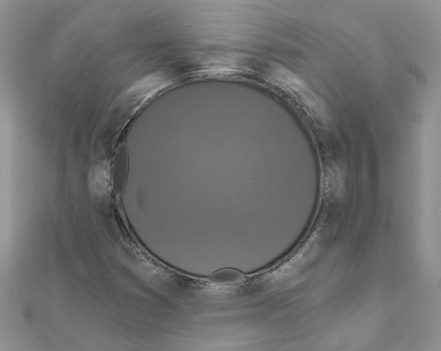 X0000111641353200908281148
