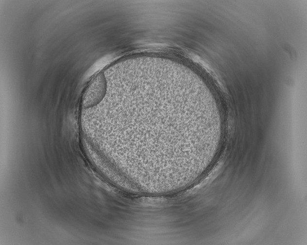 X0000111641354200908281148