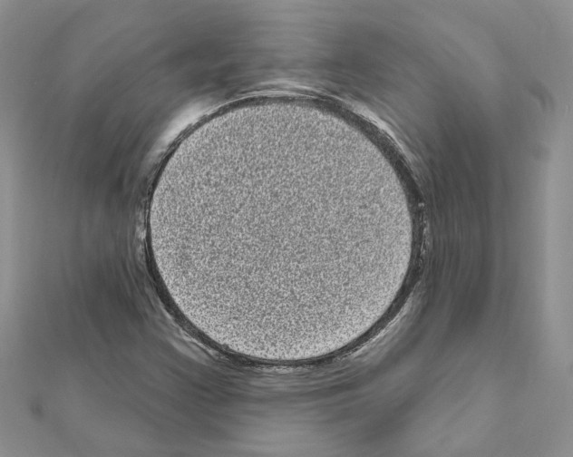 X0000111641355200908281148