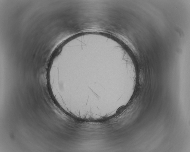X0000111641356200908281148