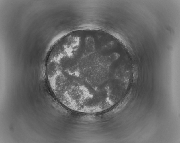X0000111641358200908281148
