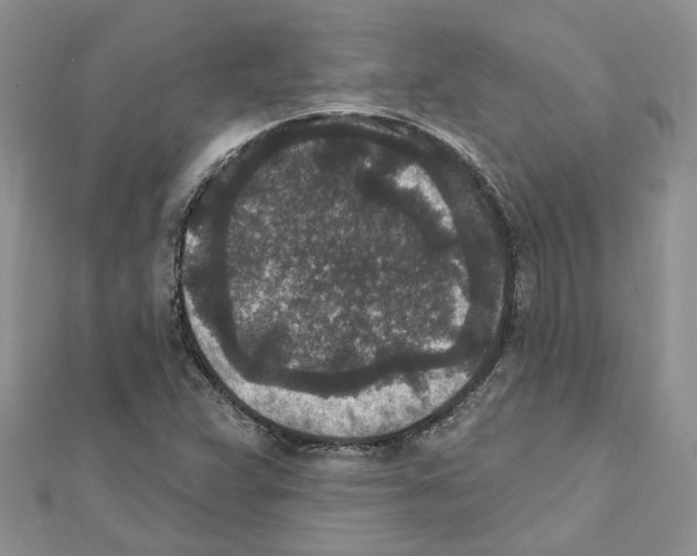 X0000111641359200908281148