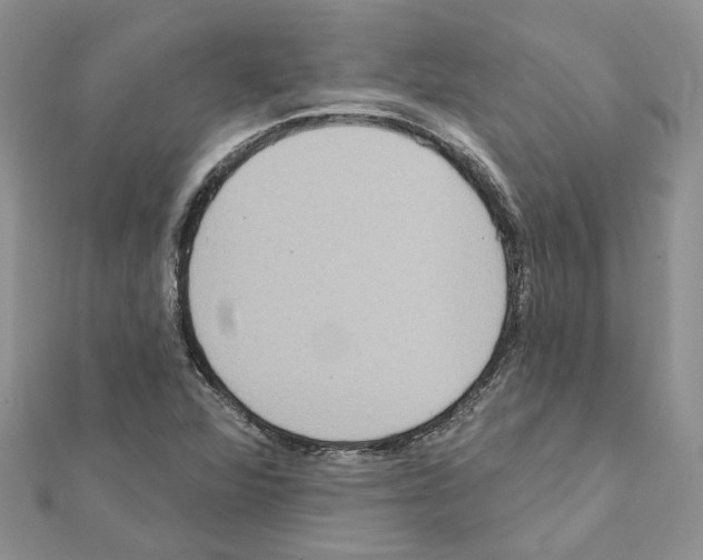 X0000111641360200908281148
