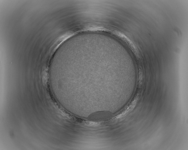 X0000111641361200908281148
