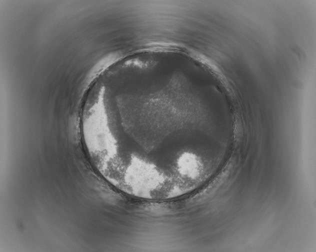 X0000111641362200908281148