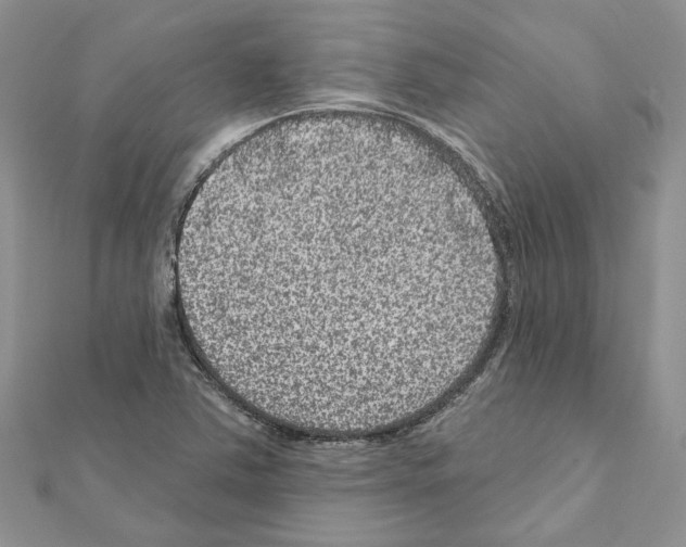 X0000111641363200908281148