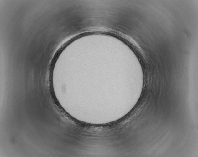 X0000111641364200908281148