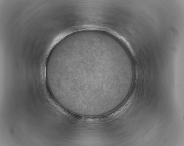 X0000111641365200908281148