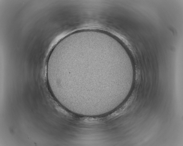 X0000111641366200908281148