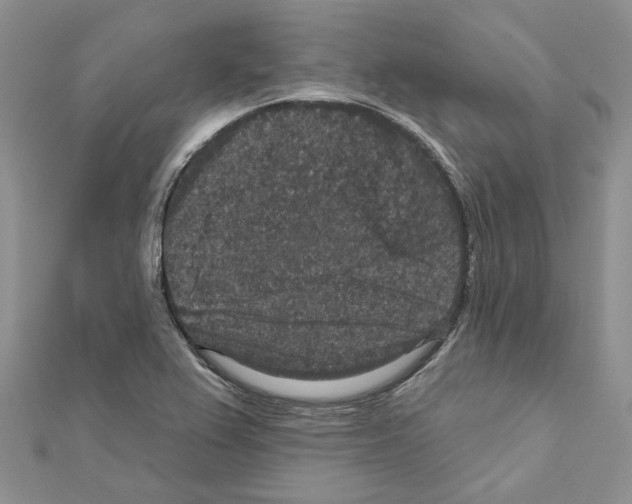 X0000111641367200908281148