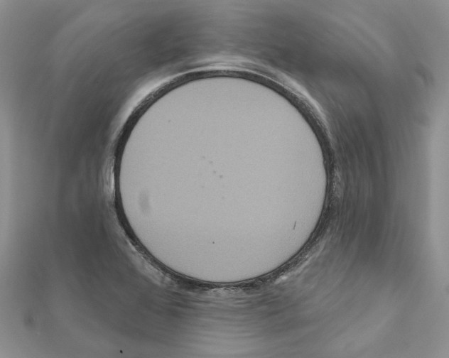 X0000111641368200908281147